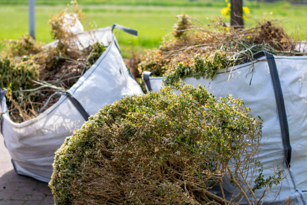 Best Appliance Removal Near Me  in Delshire, OH